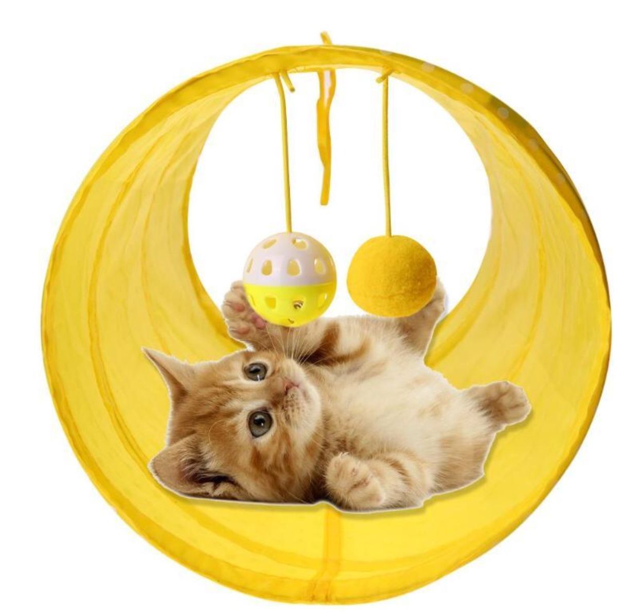 Cat Fun Tunnel