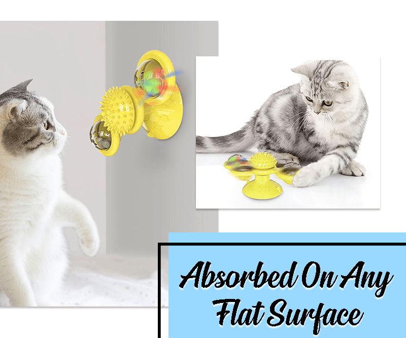 Multifunctional Windmill Cat Toy