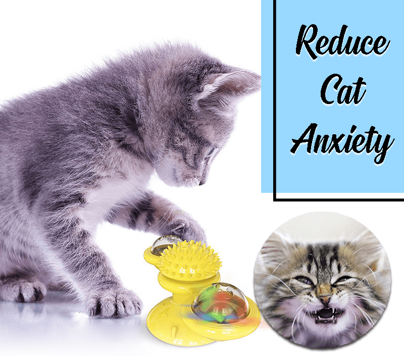 Multifunctional Windmill Cat Toy