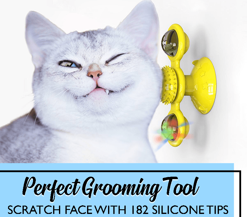 Multifunctional Windmill Cat Toy