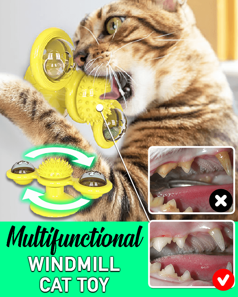 Multifunctional Windmill Cat Toy