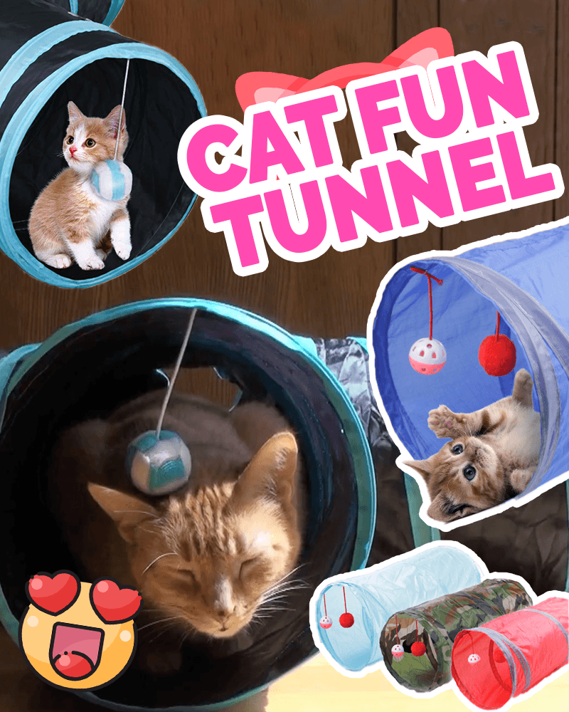Cat Fun Tunnel