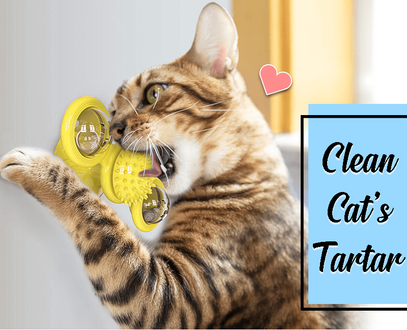 Multifunctional Windmill Cat Toy