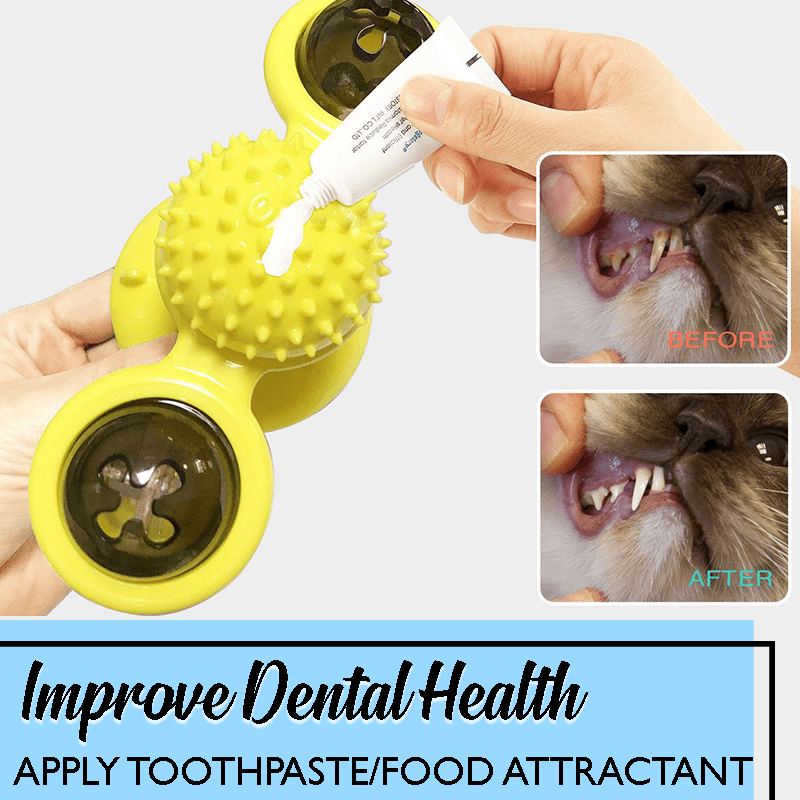 Multifunctional Windmill Cat Toy