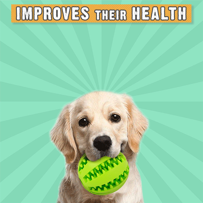 HappyPet™ Interactive Chew Toy