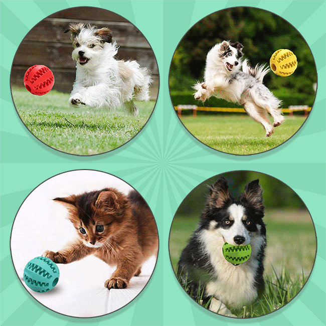 HappyPet™ Interactive Chew Toy