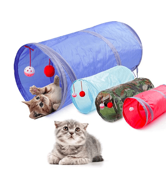 Cat Fun Tunnel