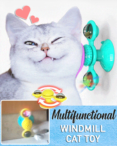 Multifunctional Windmill Cat Toy