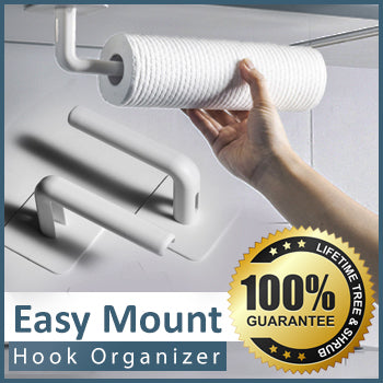 Easy Mount Hook Organizer
